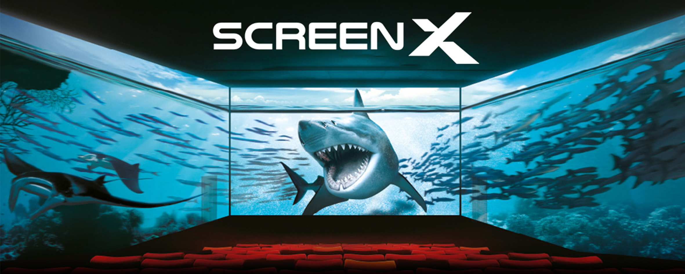 SCREENX